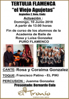 Tertulia Flamenca 