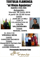 Flamenco en 