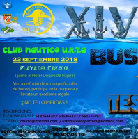 XIV Búsqueda del Tesoro